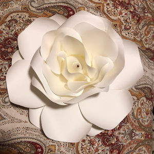 Meet your Posher, Nyla kolab